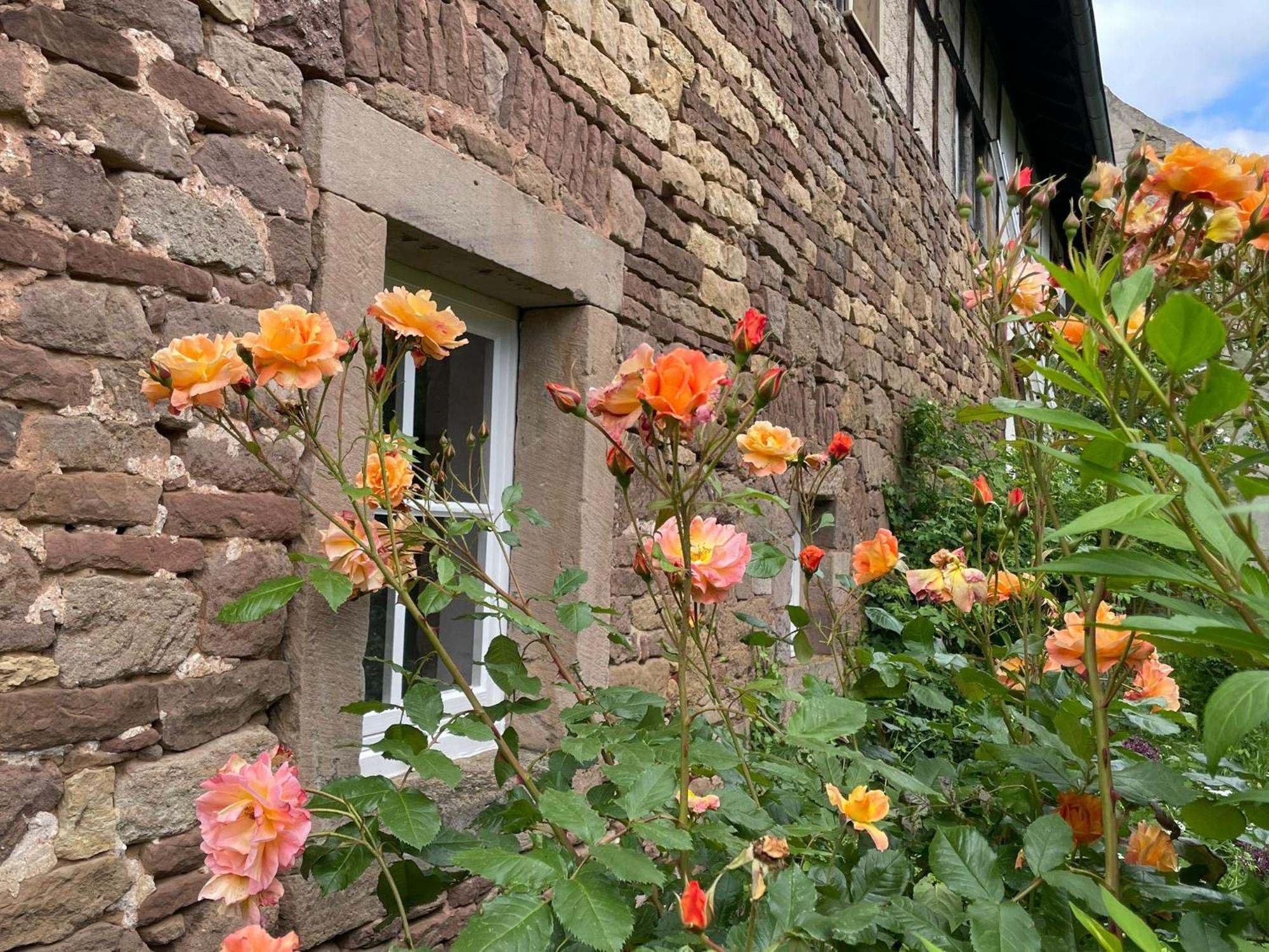 Cherrytree Cottage 1840 Heimbach Exteriér fotografie